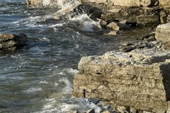 IMG_0853