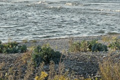 IMG_0869