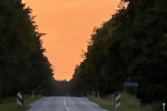 IMG_0921